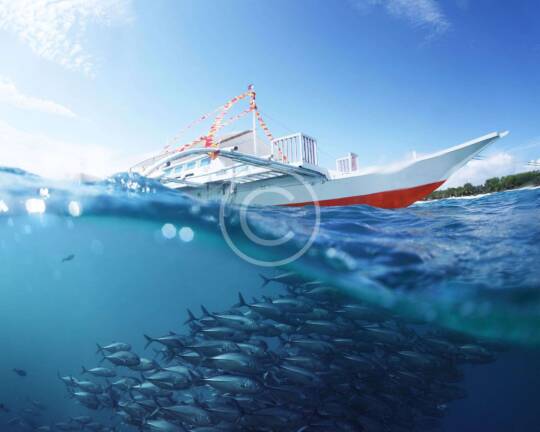 Szybkość Działania